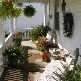 A sunny porch adorned with lush greenery and comfortable seating.