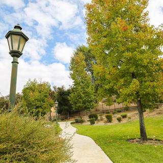 A serene park scene featuring a winding pathway, vibrant green trees, and an old-fashioned lamppost under a partly cloudy sky.