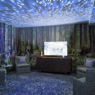 A tranquil relaxation room with a forest-themed design, featuring ambient lighting and comfortable seating.