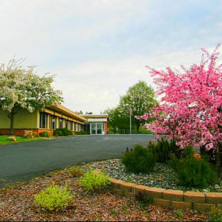 A vibrant spring scene with blooming trees and a welcoming building.