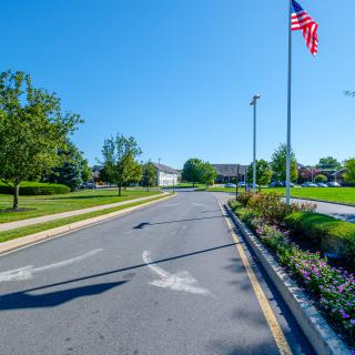 A sunny day view of a road lined with trees and an American flag on a pole.