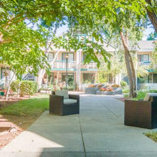 A serene courtyard with a pathway, surrounded by greenery and outdoor seating.