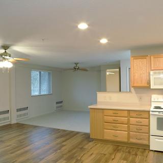 An open-concept apartment featuring a kitchen and living area with hardwood floors and ceiling fans.