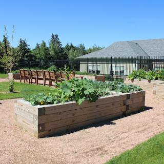 A sunny community garden featuring raised vegetable beds and a serene outdoor seating area.