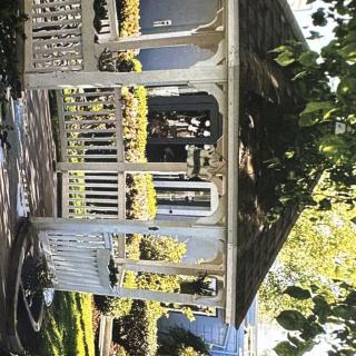A wooden gazebo surrounded by lush foliage and bathed in sunlight.
