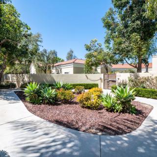 A sunny residential garden with a landscaped pathway and lush greenery.