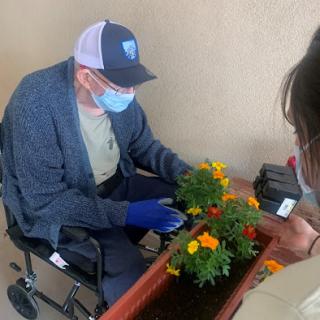 An elderly person in a wheelchair tending to flowering plants with the assistance of another individual, all while wearing masks.