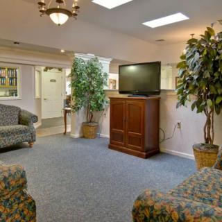 A cozy living room with comfortable seating, a television on a wooden stand, and decorative plants.