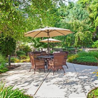 A serene outdoor patio area with a table and chairs under a large umbrella, surrounded by lush greenery.