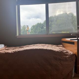 A cozy bedroom with a bed covered by a blanket, next to a window overlooking greenery.