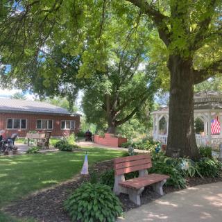 A serene garden setting featuring a bench under a lush tree, perfect for relaxation.