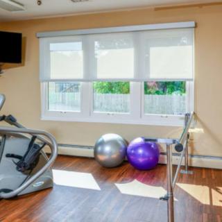 A bright home gym with a treadmill and exercise balls by the window.