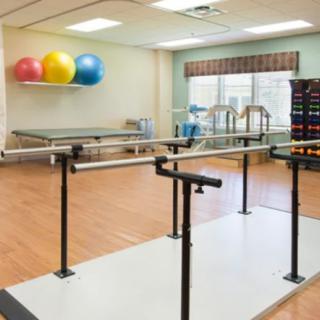 A physical therapy room equipped with parallel bars and exercise balls.