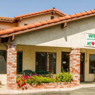 A storefront with brick pillars and a flower bed in front.