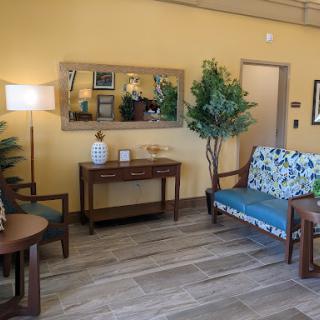 A cozy living room setup featuring comfortable seating, decorative plants, and warm lighting.