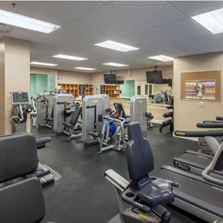 A modern gym equipped with treadmills and weight machines.