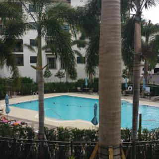 A serene view of a swimming pool surrounded by palm trees in an apartment complex.