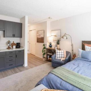 A modern and cozy bedroom with a kitchenette, featuring stylish furniture and decor.