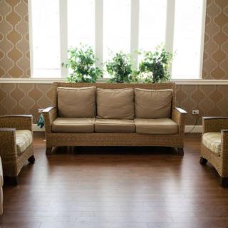 A cozy living room with a sofa, two armchairs, and indoor plants by the window.