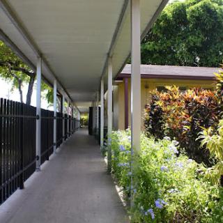 A peaceful hallway lined with greenery and flowers, leading to a building.