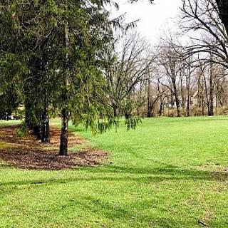 A serene park scene with lush green grass and a row of trees.