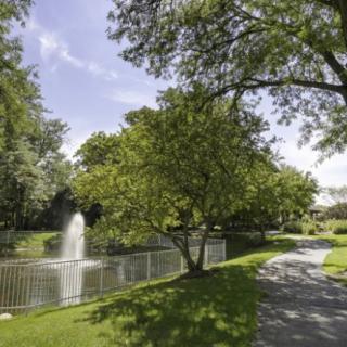 A tranquil park scene with a fountain, lush trees, and a winding pathway.