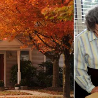 An autumn scene outside a house with vibrant orange leaves and an elderly woman reading indoors.
