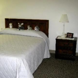 A simple bedroom with a neatly made bed and a nightstand with a lamp.