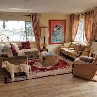 A cozy living room with comfortable seating and warm decor.