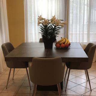 A modern dining area with a dark wooden table, surrounded by cushioned chairs and decorated with a potted plant and a fruit bowl.