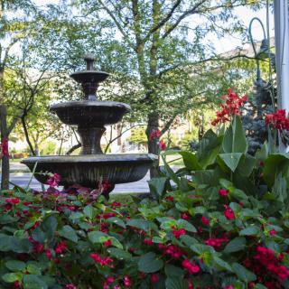 A serene garden scene featuring a tiered fountain surrounded by vibrant flowers and lush greenery.