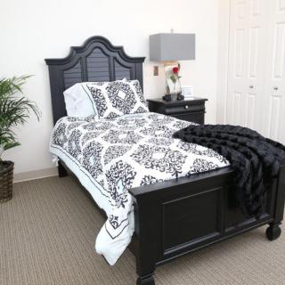 A stylish bedroom featuring a black bed with patterned bedding, accompanied by a nightstand and lamp, with a decorative plant in the corner.