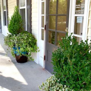 A welcoming entrance adorned with lush greenery and decorative plants.