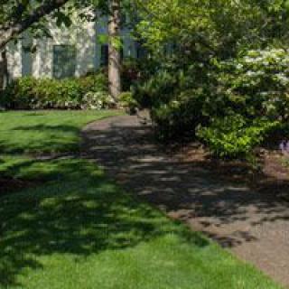 A serene garden pathway surrounded by lush greenery and trees.