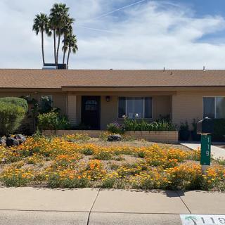 A house with desert landscaping and blooming flowers in the front yard under a clear sky.