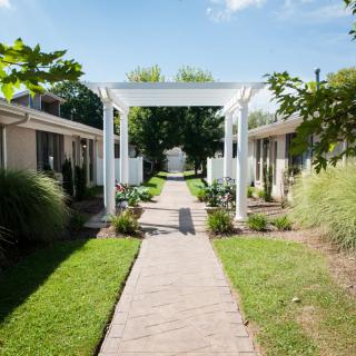 A charming garden path with a white archway flanked by greenery.