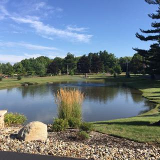 A serene pond surrounded by grass and trees under a clear blue sky.