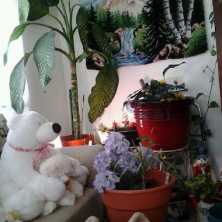 A cozy indoor corner with plants, flowers, and a plush polar bear.