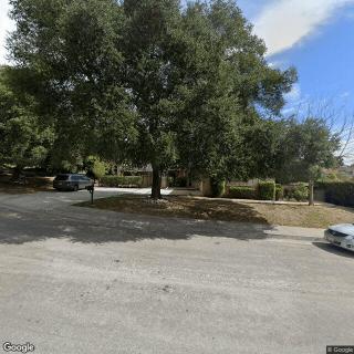 A suburban street with parked cars and a large tree.
