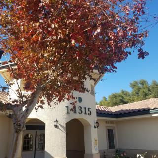A building with an archway entrance and a tree with autumn leaves in the foreground.