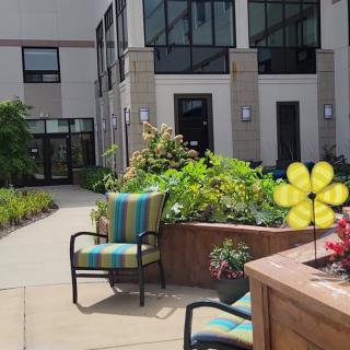 A sunny patio garden area with chairs and plants outside a building.