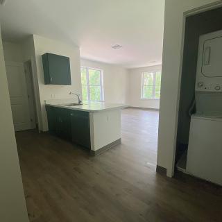 A modern apartment with an open kitchen and living area, featuring abundant natural light and wood flooring.