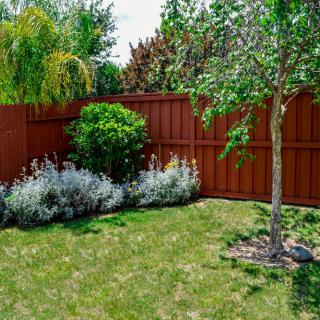 A well-maintained garden with a tree, shrubs, and a wooden fence.
