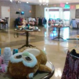 A cozy event room with tables and stuffed animals.