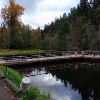 A tranquil view of a bridge over a lake surrounded by autumn foliage.