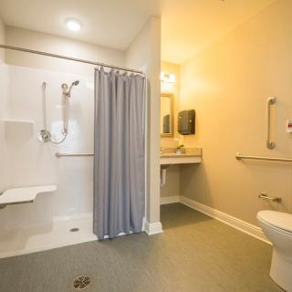An accessible bathroom with a shower, toilet, sink, and grab bars.