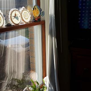 A sunlit window showcasing decorative plates with soft curtains creating a serene indoor atmosphere.