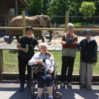 A family visit to the zoo with an elephant in the background.
