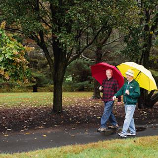 A couple enjoying a walk under colorful umbrellas on a rainy autumn day.