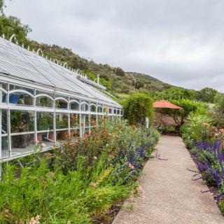 A scenic view of a greenhouse surrounded by lush gardens and a winding pathway.